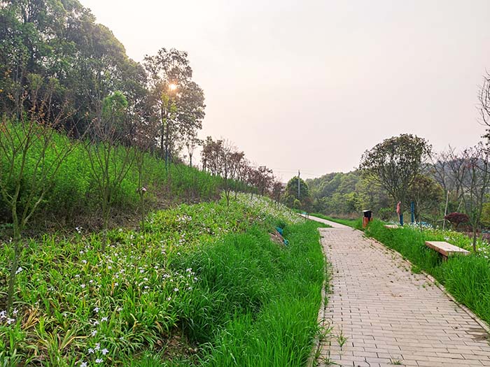 衡阳市常宁水口山铅锌煤矿区山水林田湖草生态保护修复试点工程